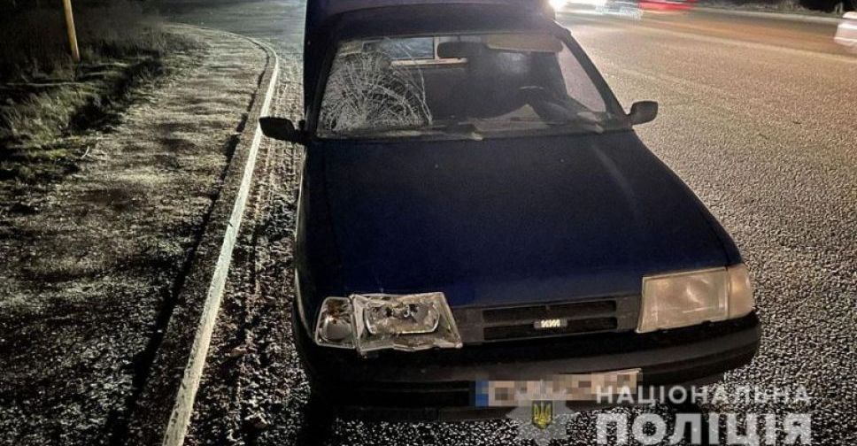 В Запорожье на Хортице водитель под наркотиками сбил двух девочек