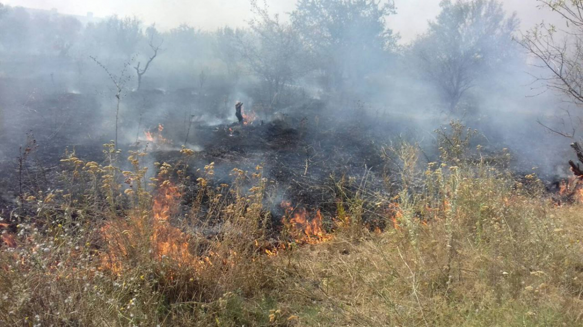 На Хортиці сталась масштабна пожежа, яку бачили багато містян - ведеться розслідування (фото)