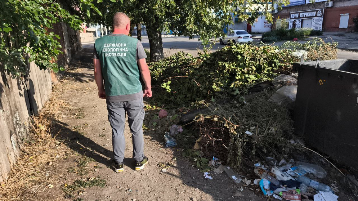 Купи гілок та побутових відходів - у Запоріжжі екоінспектори виявили стихійне сміттєзвалище (фото)