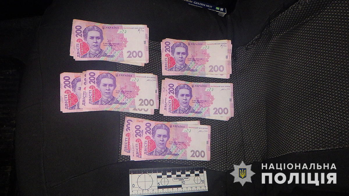 У Запорізькій області п'яний водій підкинув правоохоронцям гроші в машину - подробиці