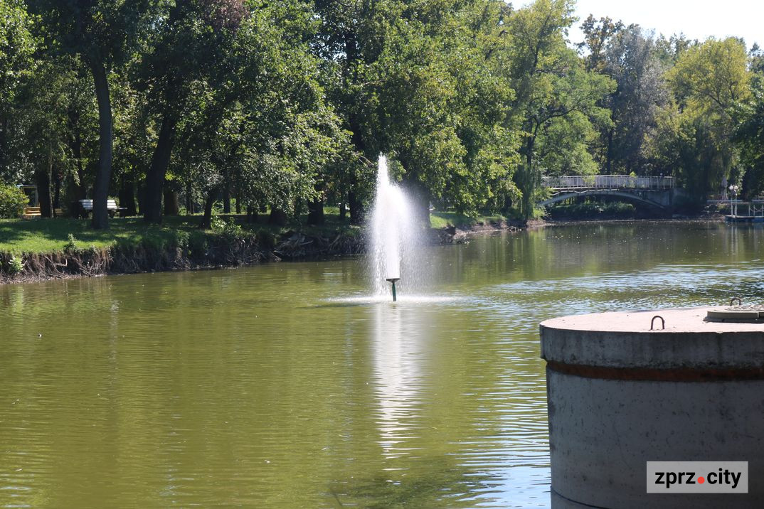 Треш і краса: як виглядає в середині серпня центральний парк Запоріжжя - фото