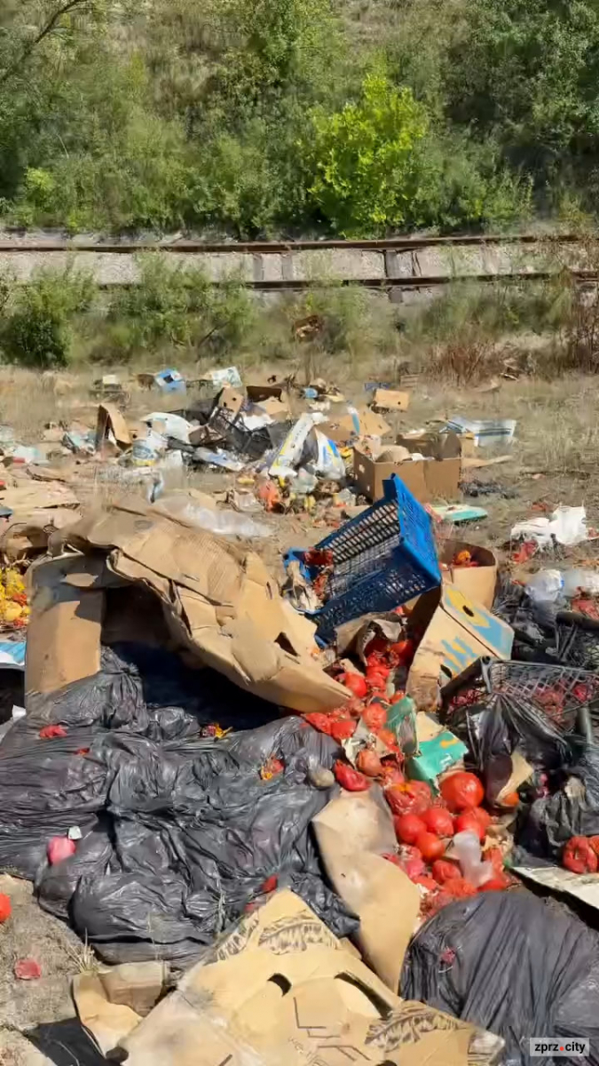 Гори гнилих помідорів просто неба: у Хортицькому районі Запоріжжя шукають порушників (фото, відео)