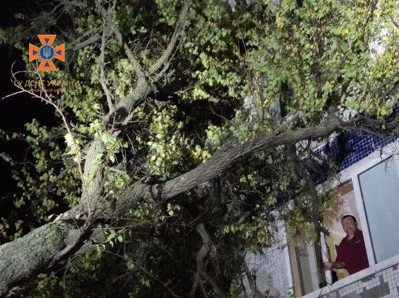 У Запоріжжі дерево впало на багатоповерхівку - фото