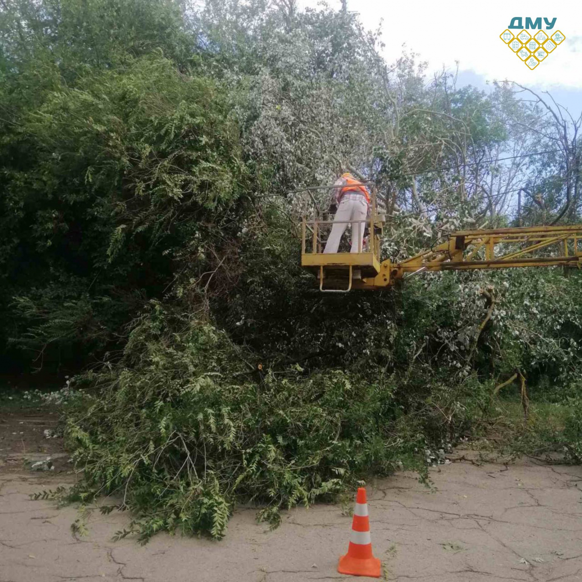 Повалені дерева та стовпи, обірвані мережі, побиті авто - у Запоріжжі комунальники ліквідовують наслідки негоди (фото)