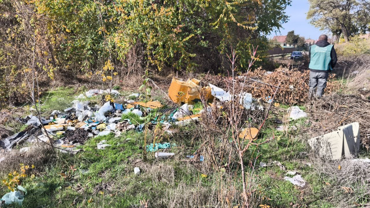 Сміття "сховали" за деревами — у Запоріжжі в приватному секторі виявили стихійне звалище (фото)
