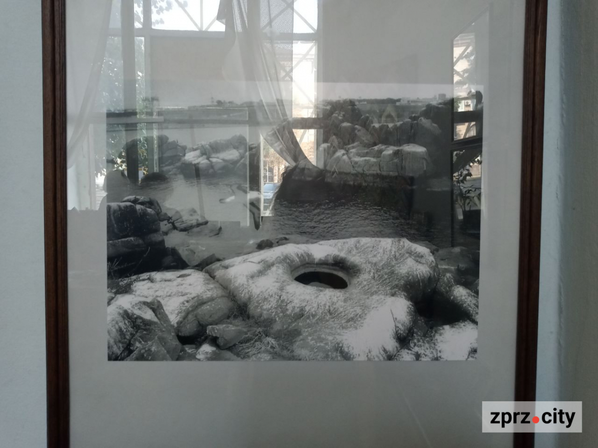 Трішки релаксу - у Запоріжжі відкрили фотовиставку трьох відомих авторів