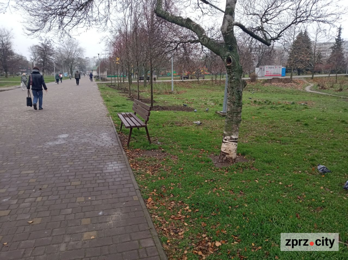 У запорізькому парку висадили більше ста лип і кленів - є унікальний сорт (фото)