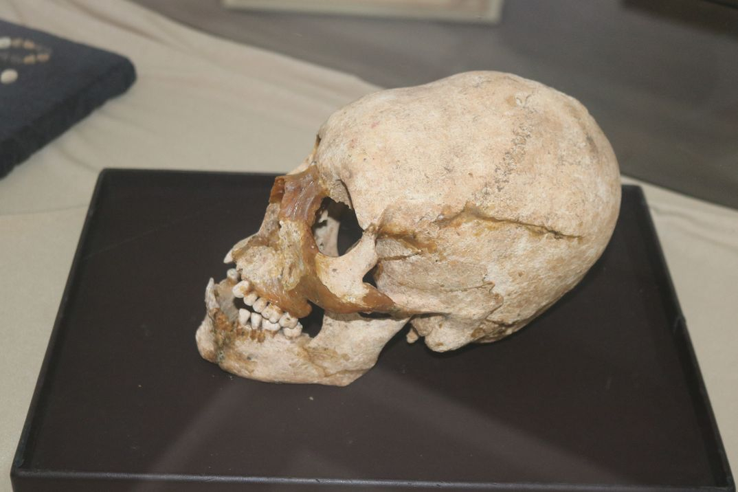 День археолога: Запоріжанка розповіла, як знайшла незвичайний людський череп
