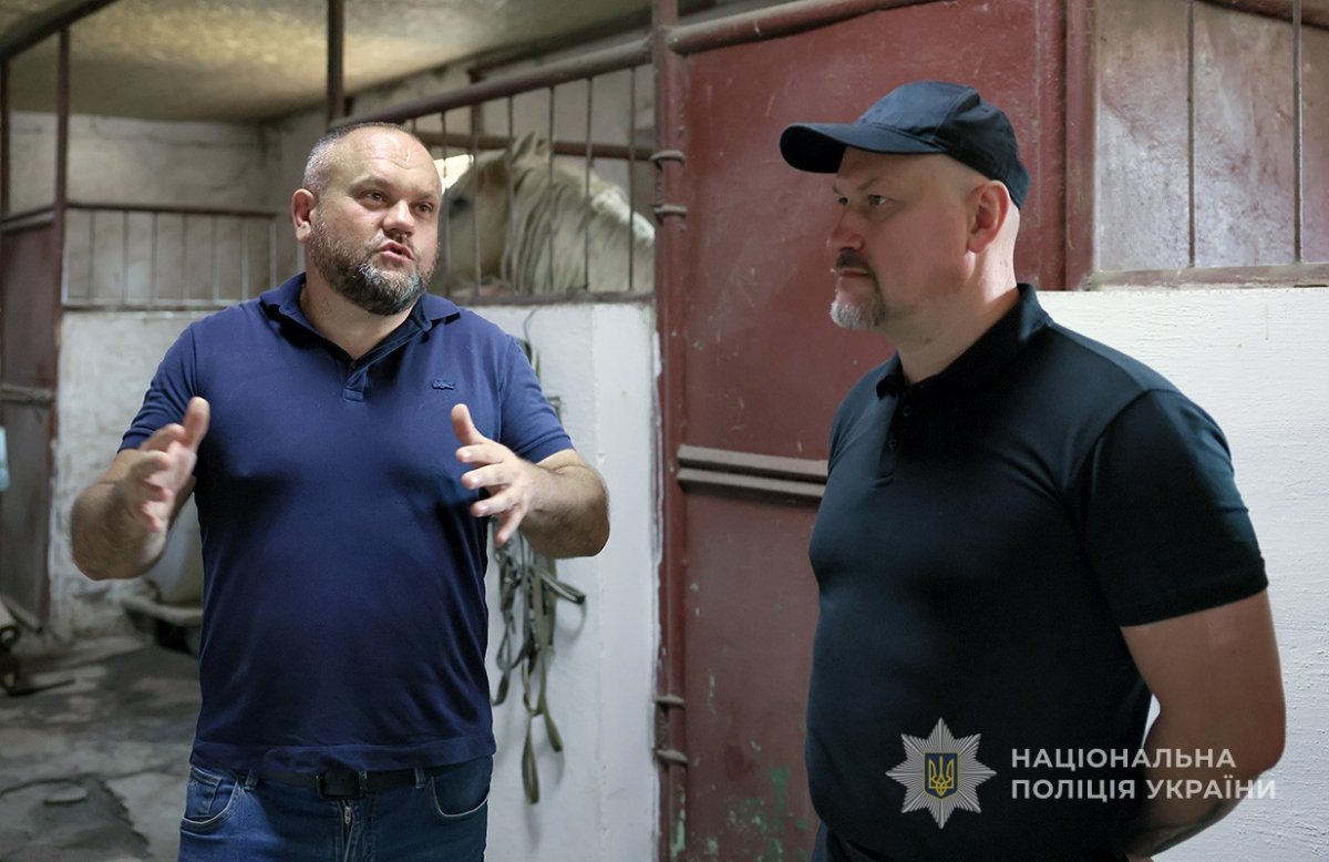 Гек і Гуляка стали патрульними - У Запоріжжі кінна поліція отримала нових скакунів (фото)