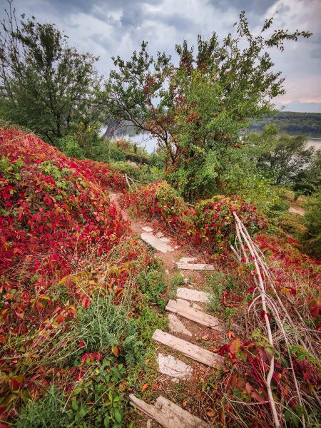 Як виглядає восени одне з мальовничих місць у Запоріжжі - фото