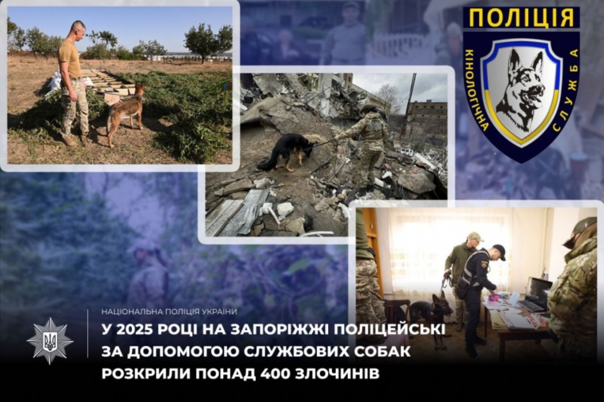 Запорізькі собаки допомагають розслідувати вбивства та розшукують людей - цікаві випадки розкриття справ