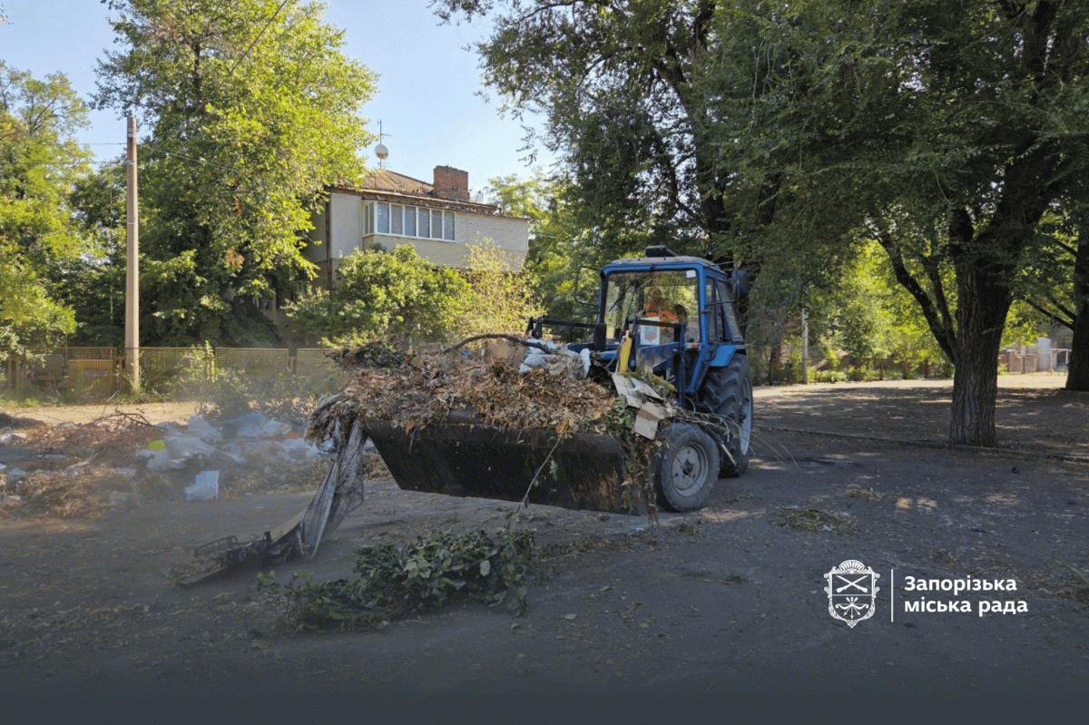 У дворі в історичній частині Запоріжжя влаштували величезне стихійне сміттєзвалище