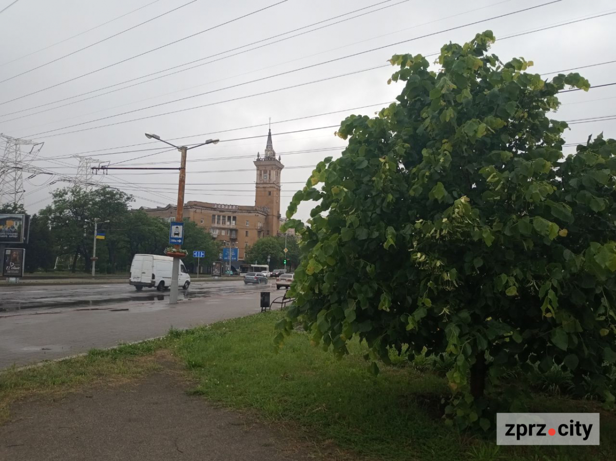 Після дощу сквер у центрі міста виглядає дуже красиво - фото
