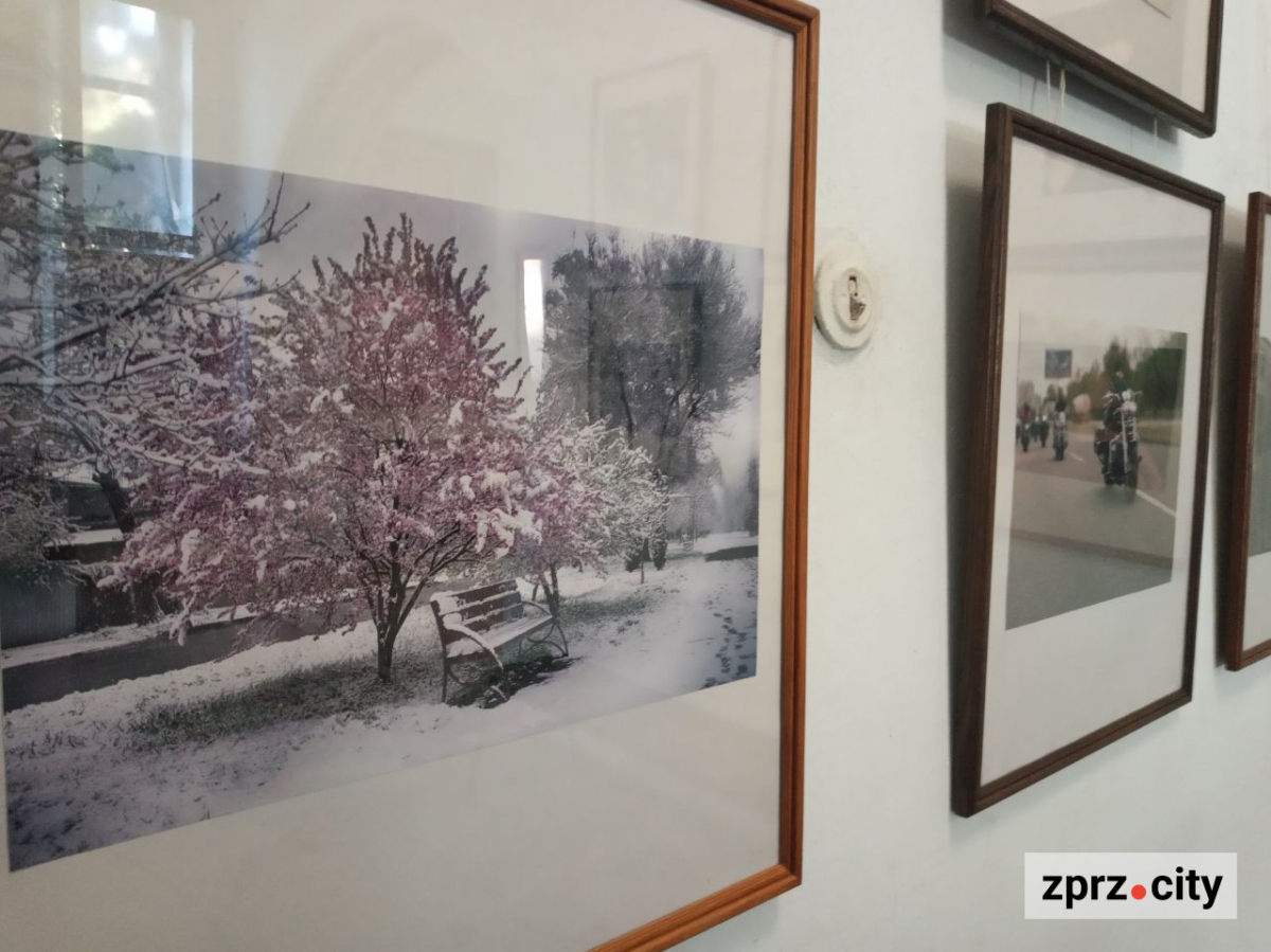 Трішки релаксу - у Запоріжжі відкрили фотовиставку трьох відомих авторів
