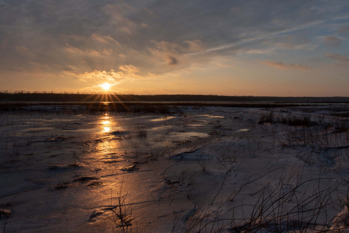 П'ять температурних рекордів - зима у Запоріжжі стала однією з найтепліших за всю історію