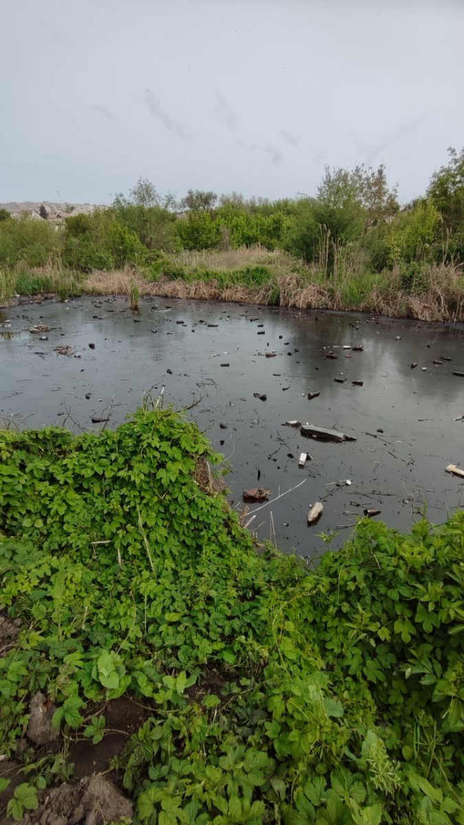 У Запоріжжі офіційно прокоментували сильне забруднення річки нафтопродуктами - ситуацією зацікавились у Києві
