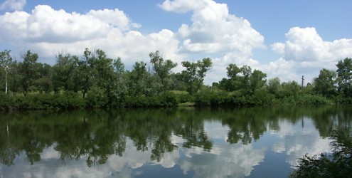У водоймах Запоріжжя падає рівень води: яка ситуація на Веслувальному каналі - відео