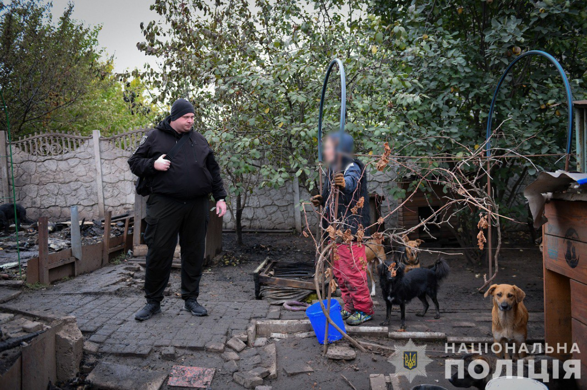 У поліції повідомили причину жахливої пожежі притулку під Запоріжжям, під час якої загинули тварини - фото