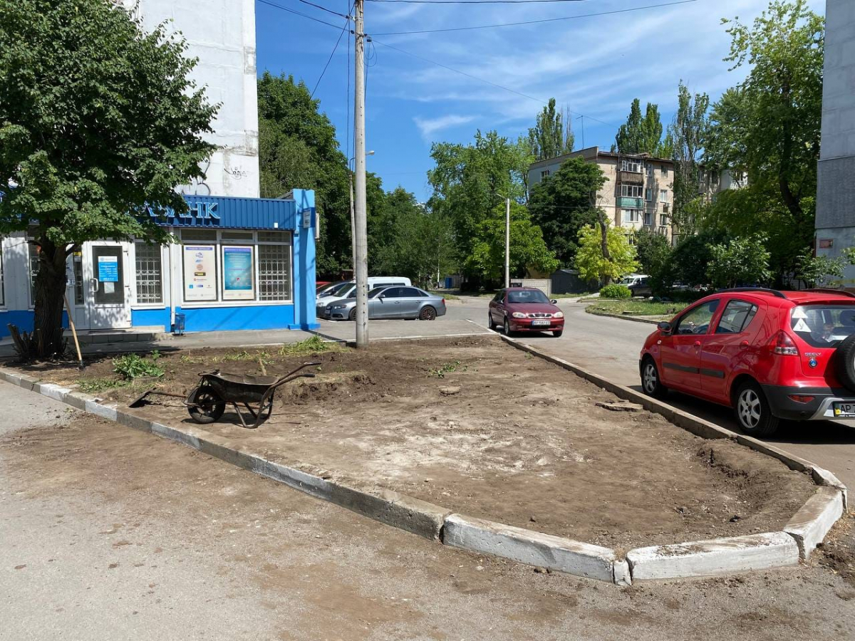 Знищили зелений куточок, щоб облаштувати парковку – у Запоріжжі оштрафували підприємців