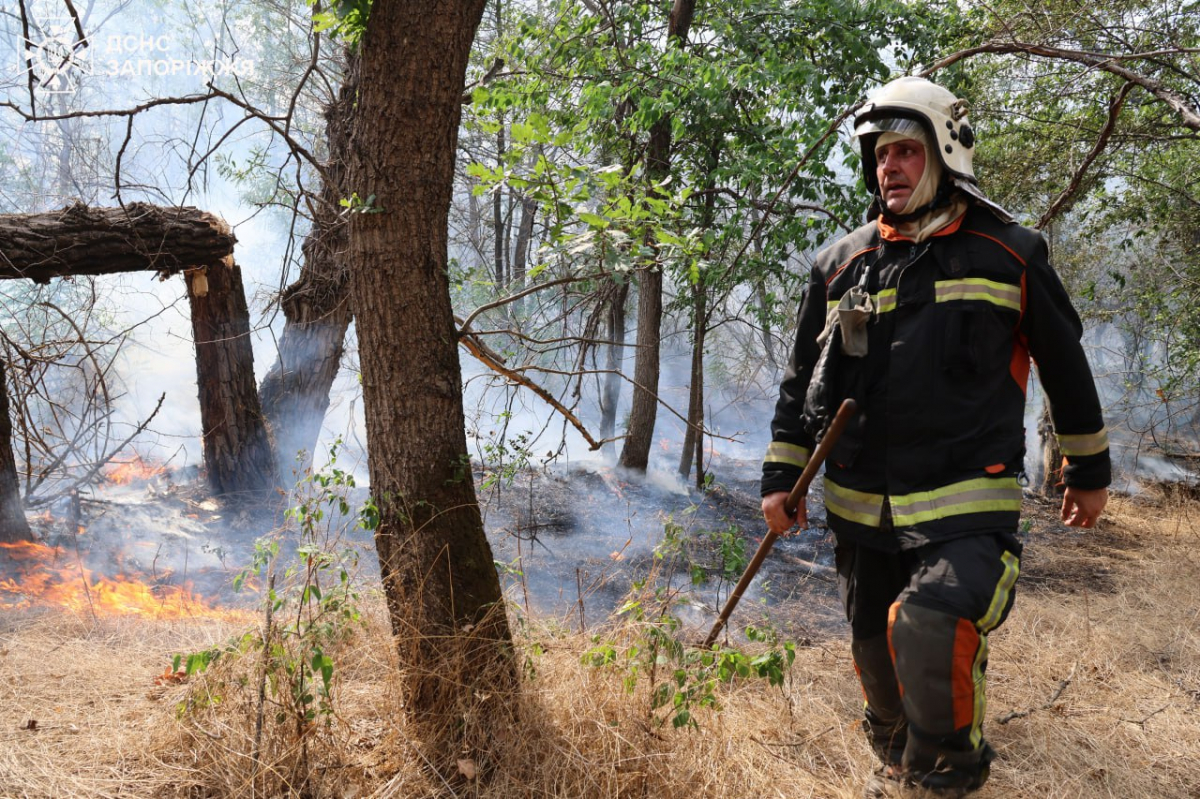 Безвідповідальність відвідувачів призвела до пожежі  – у Запоріжжі другий день поспіль триває боротьба з вогнем (фото)