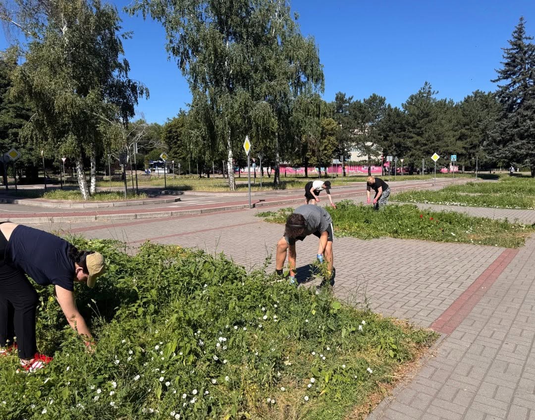 17 видів рослин замість газону: у запорізькому парку розквітли кліматичні клумби (фото)