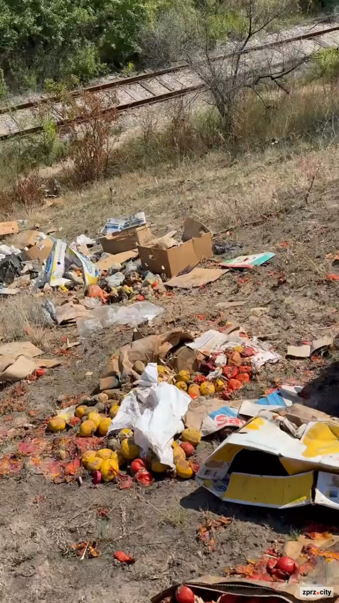 Гори гнилих помідорів просто неба: у Хортицькому районі Запоріжжя шукають порушників (фото, відео)