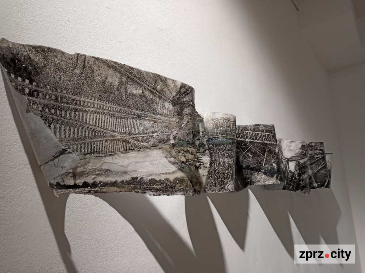 У Запоріжжі показали книгу, вирощену з гриба, та інші незвичайні артбуки - фото