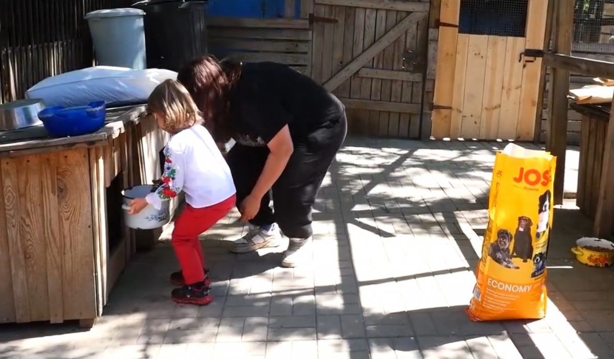 П'ятирічна акторка із Запоріжжя допомогла тваринам, які постраждали від масованого ракетного обстрілу (відео)