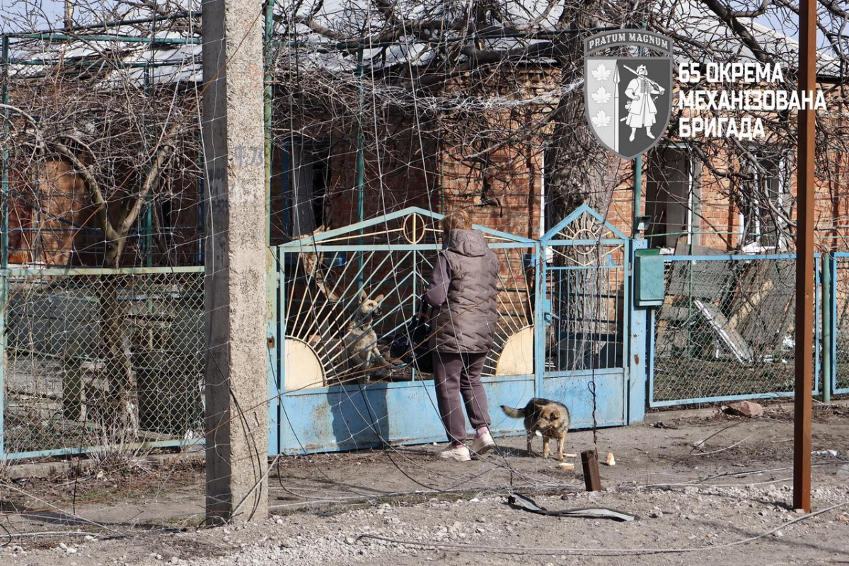 Собаки все ще чекають повернення господарів: як виглядає село Запорізького району у кіл-зоні (фото)