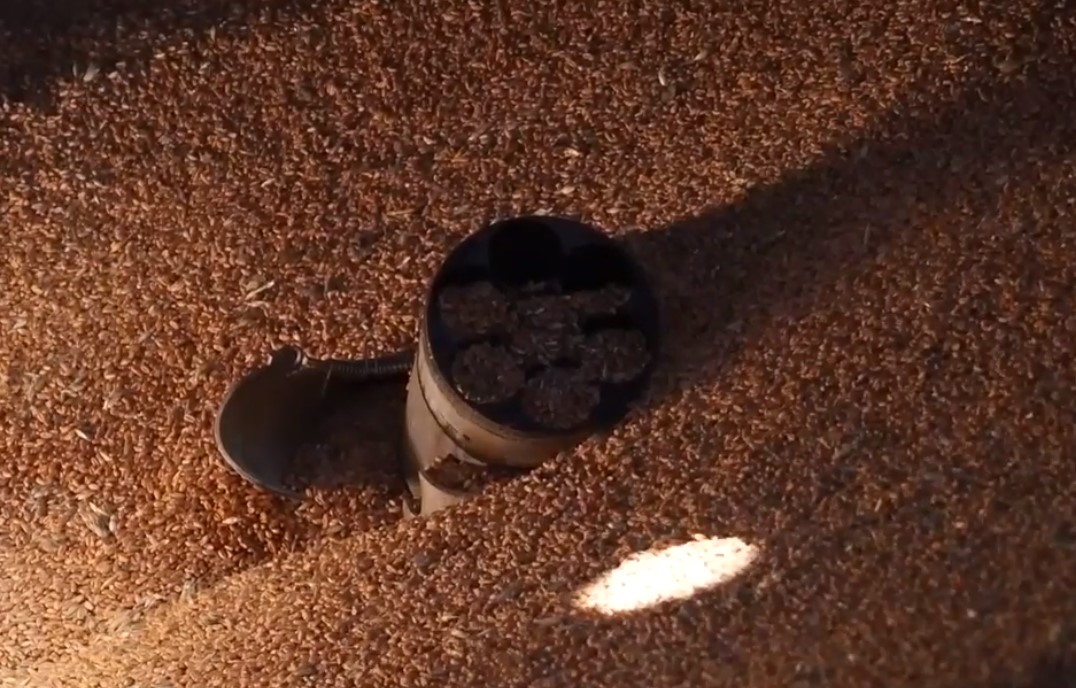 У Запорізькому районі ворожий снаряд застряг у зерносховищі - відео