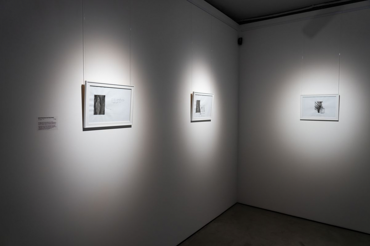 Металеві кістки і сталеві картини - у Запоріжжі відкрили символічну виставку про місто (фото)