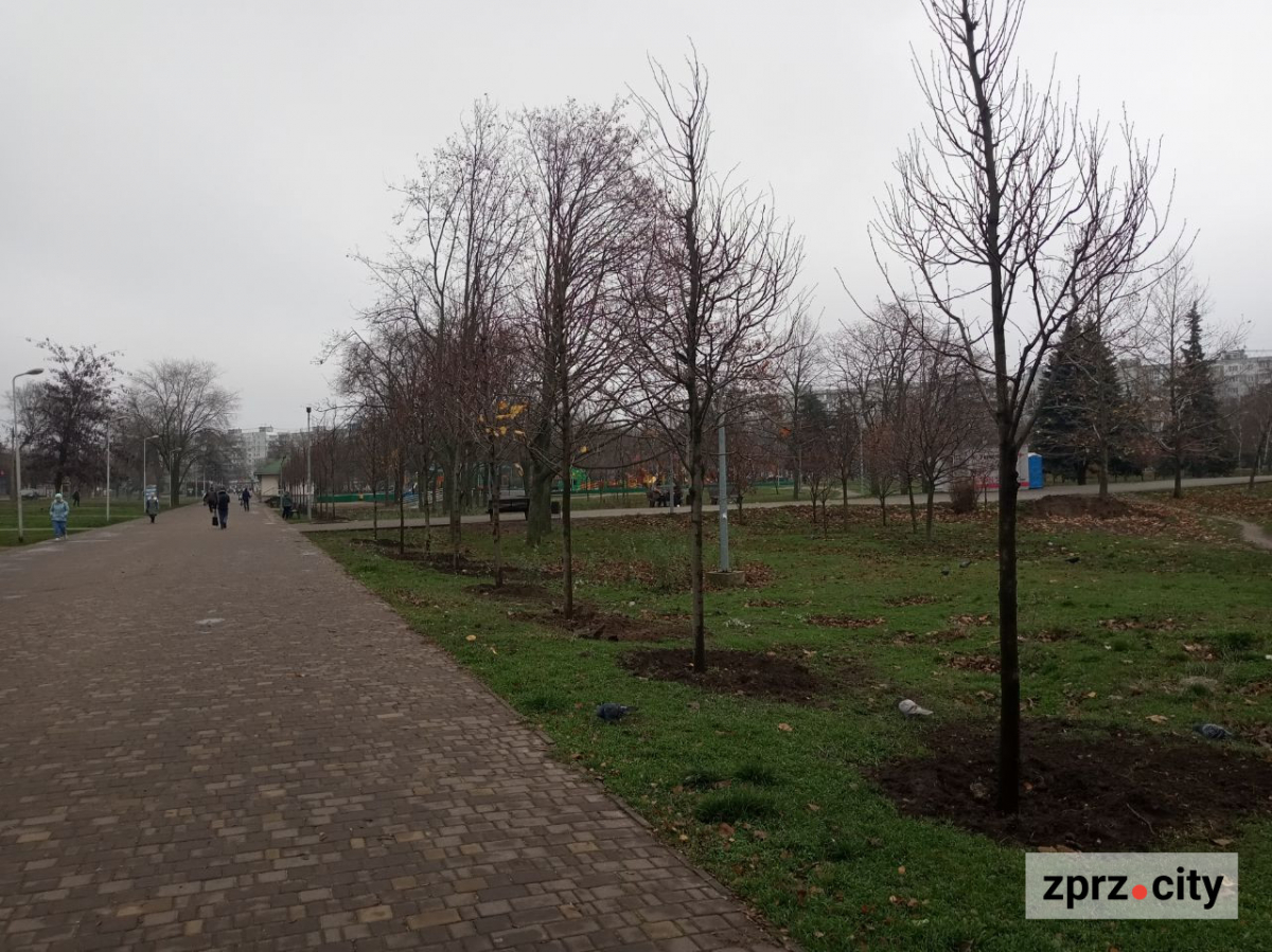 У запорізькому парку висадили більше ста лип і кленів - є унікальний сорт (фото)