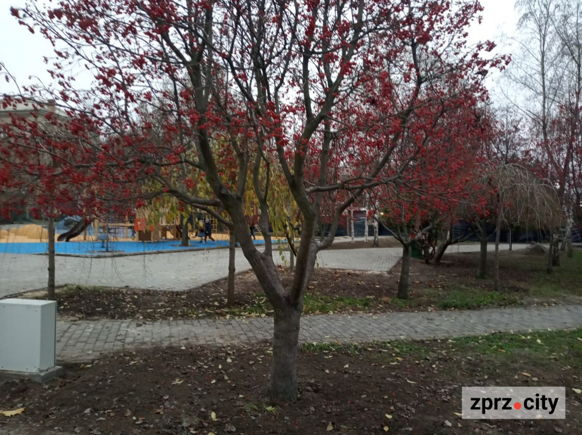 В одному із запорізьких скверів відкриють майданчик з фігурами фантастичних звірів - фоторепортаж