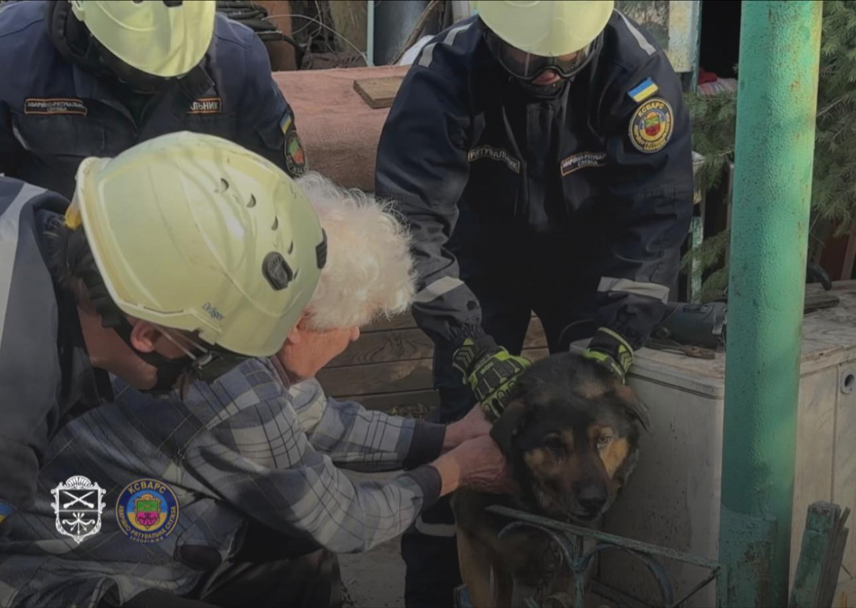 Паркан перетворився на капкан: у Запоріжжі господар викликав рятувальників для порятунку свого собаки (фото)