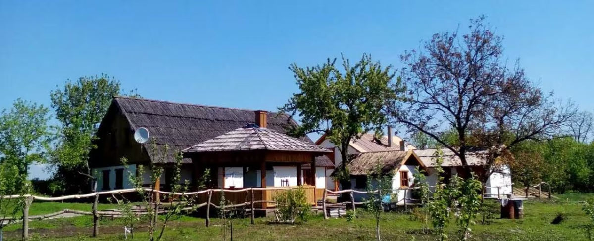 Квізи, що лікують -  як у Запоріжжі допомагають ветеранам повернути радість життя