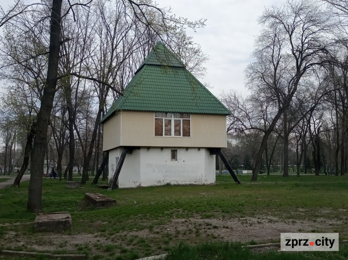 Сезон магнолій і лебеді: у вихідні в запорізькому парку був аншлаг - фото