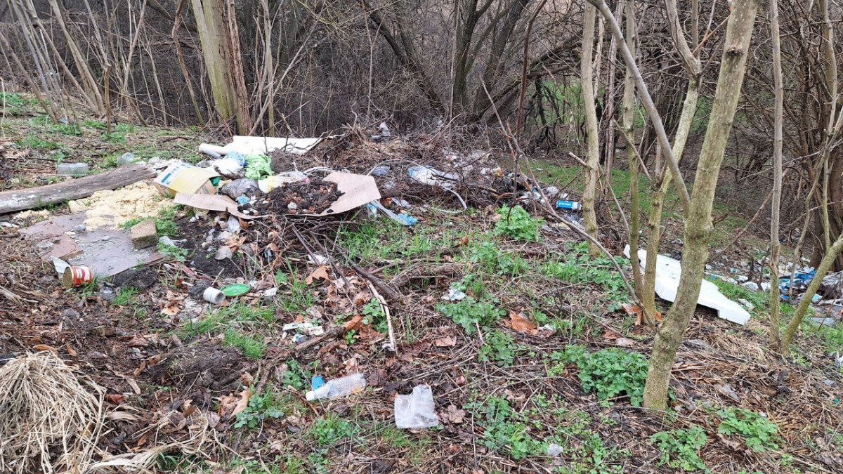 Утворили сміттєзвалище неподалік від парку – у Запоріжжі оштрафували медзаклад