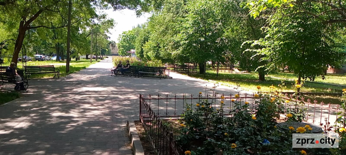 В центрі Запоріжжя чарівно квітнуть тисячі троянд - фото