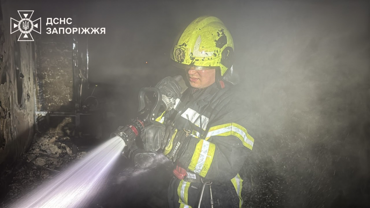  Полум'я спалахнуло на 10 поверсі: у Запоріжжі пожежники врятували чоловіка і песика (фото, відео)