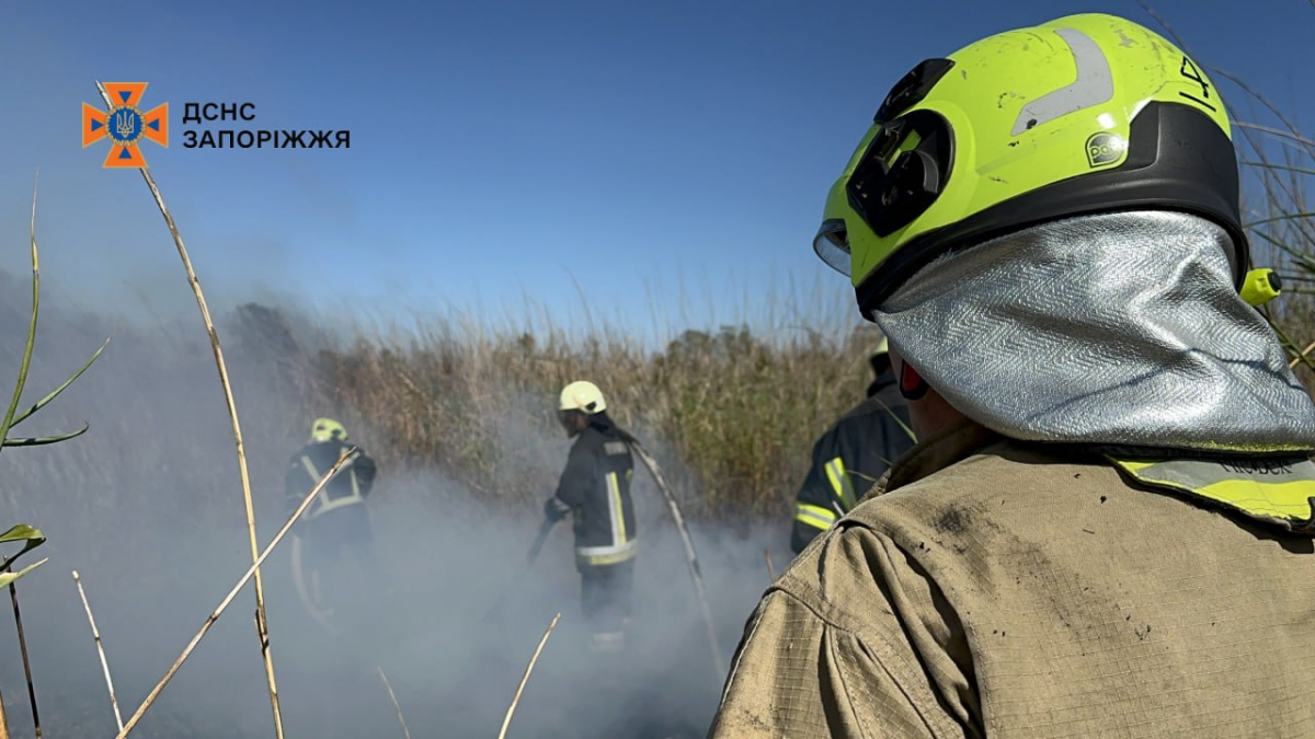 Масштабна пожежа у Запоріжжі - кілька десятків рятувальників гасять вогонь на 2,5 гектарах (фото, відео)