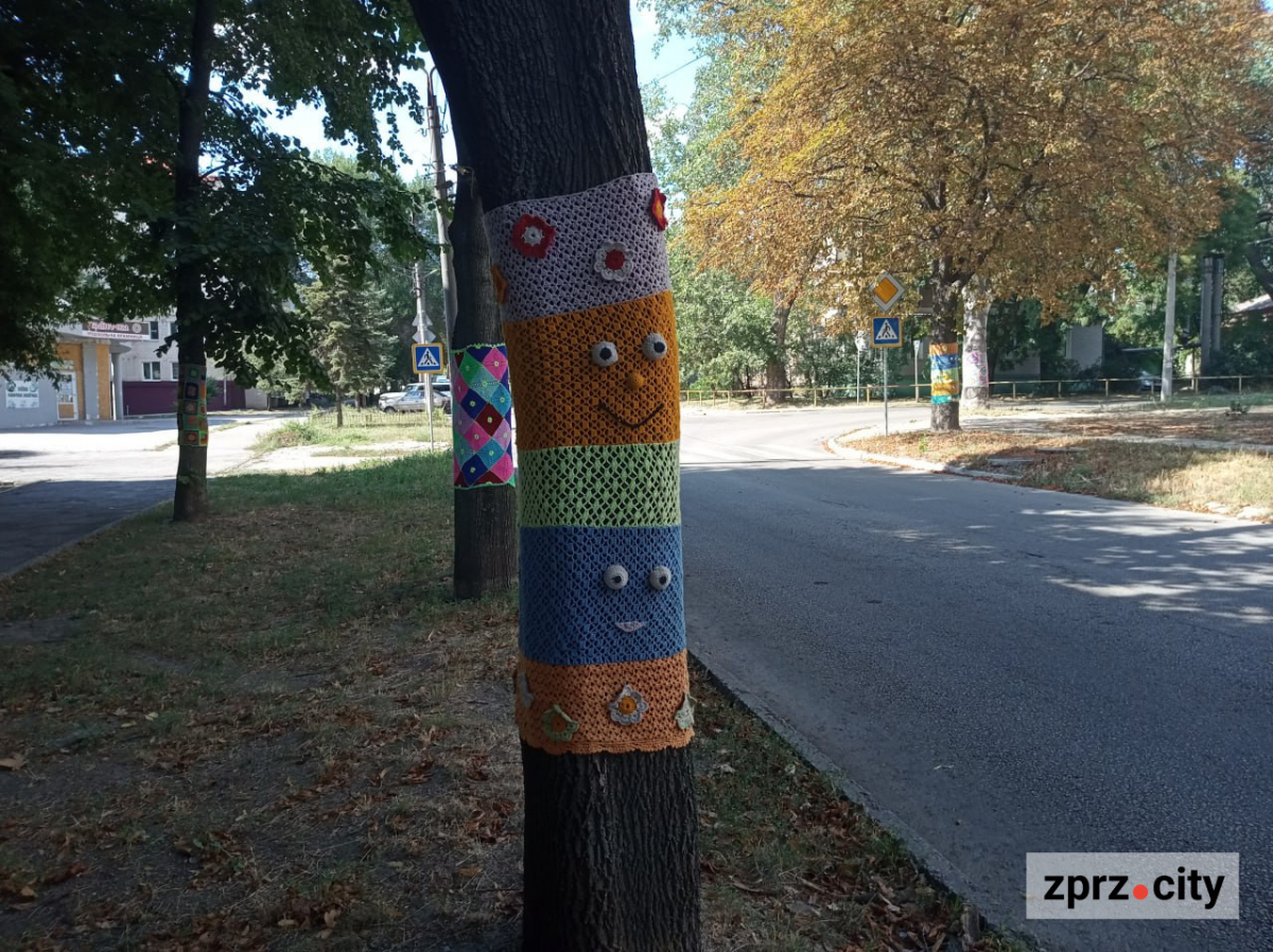 Мухомор бажань, черепаха та дерева у "светрах": де у Запоріжжі побачити незвичайну локацію (фото)
