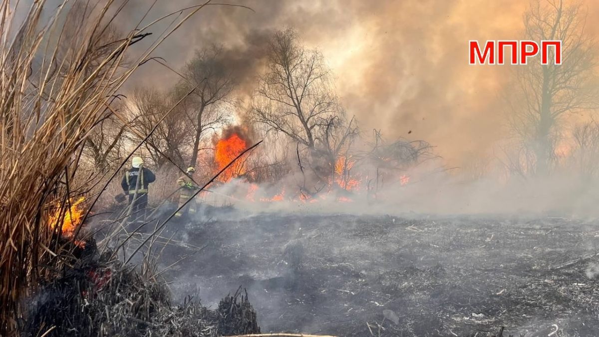 Масштабну пожежу у плавневій зоні Дніпра під Запоріжжям гасили понад чотири години - фото