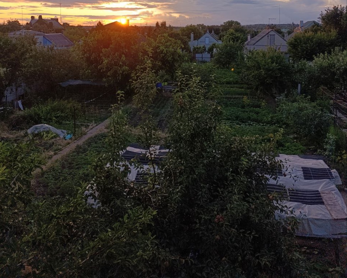 Планування ділянки на городі. Фото: Антоніна Фролова