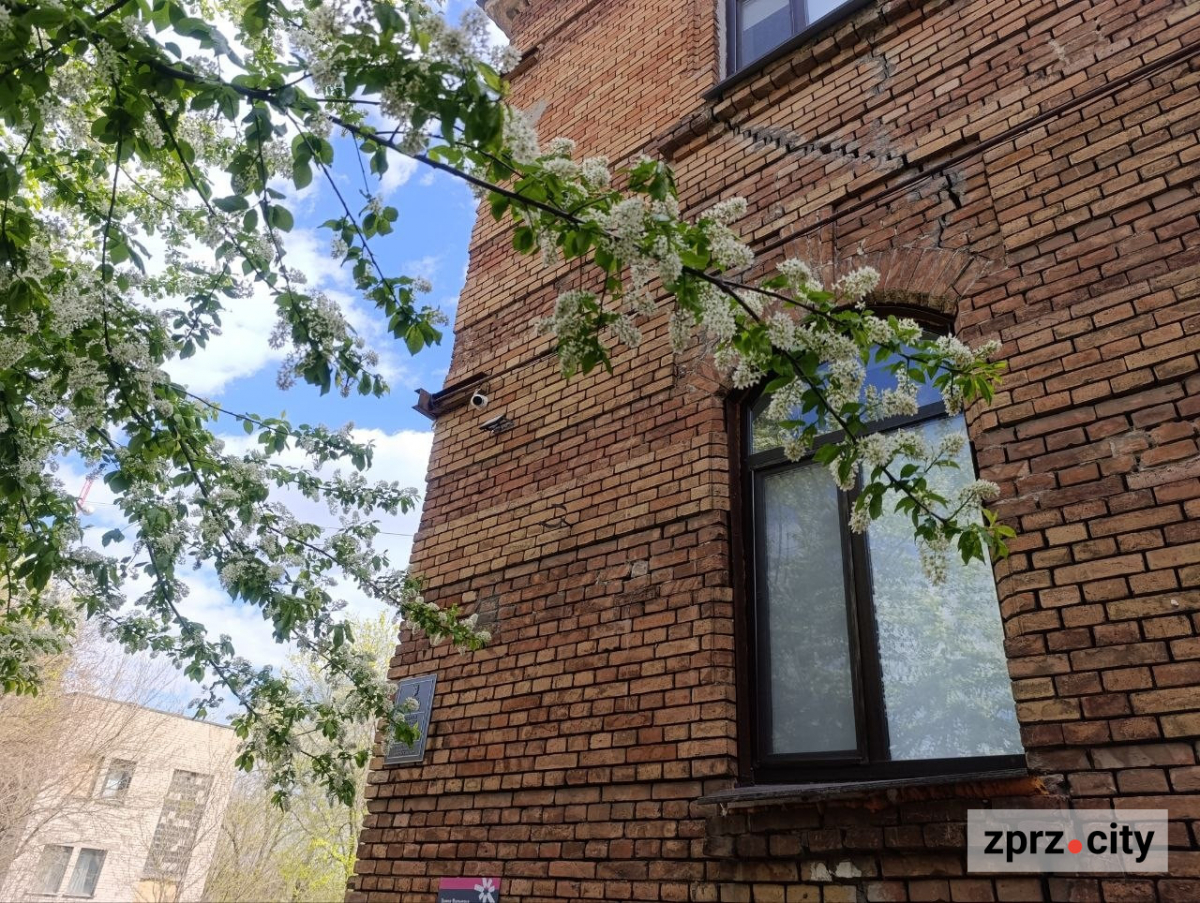 Від найстарішої школи до справжнього замку: які незвичайні менонітські будівлі можна побачити в Запоріжжі (фото)