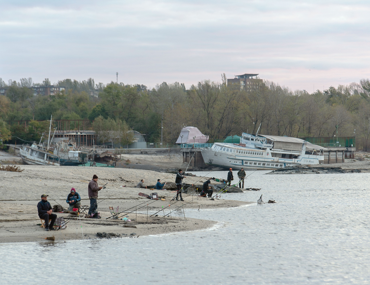 Осушені майже всі нерестовища: які види риб у Запорізькій області опинилися під загрозою 