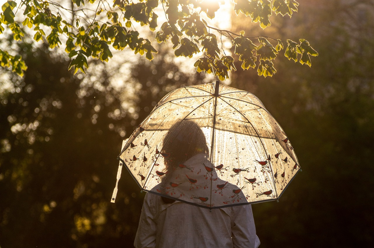 Доведеться дістати парасольки: якою буде погода у Запорізькій області на вихідних