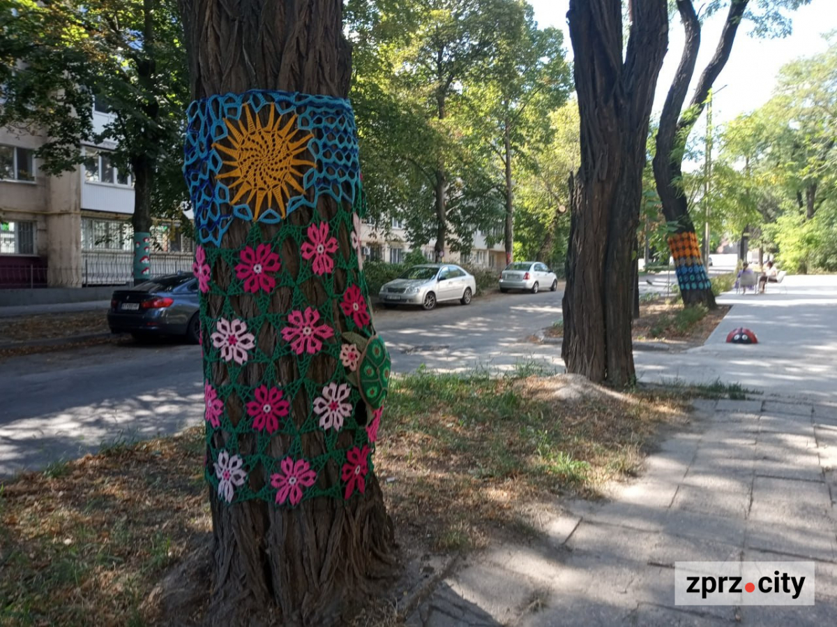 Мухомор бажань, черепаха та дерева у "светрах": де у Запоріжжі побачити незвичайну локацію (фото)
