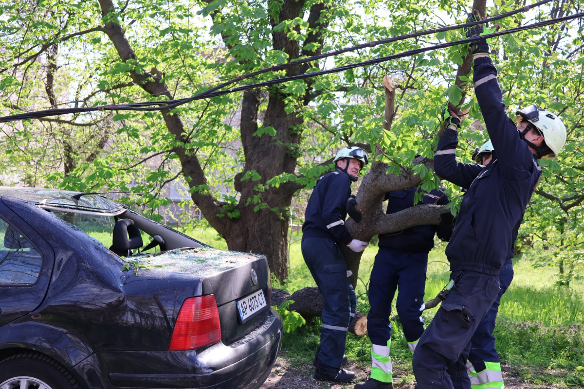Зруйнована арка та пошкоджений дах філармонії: у Запоріжжі триває ліквідація наслідків буревію (фото, відео)