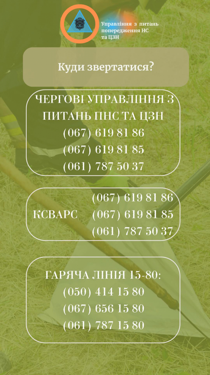 Як правильно поводитися та куди звертатися, якщо натрапили на змію - поради запорізьких фахівців
