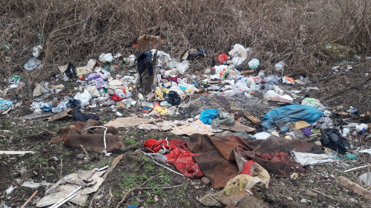 У Запоріжжі поблизу річки виявили сміттєзвалище – міська влада має навести лад